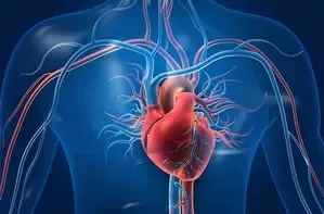 Revolutionary Study Brings New Hope for Ischemic Heart Failure Treatment
