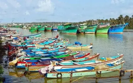 Breeding Season: 61-Day Fishing Ban to Commence in Tamil Nadu on April 15