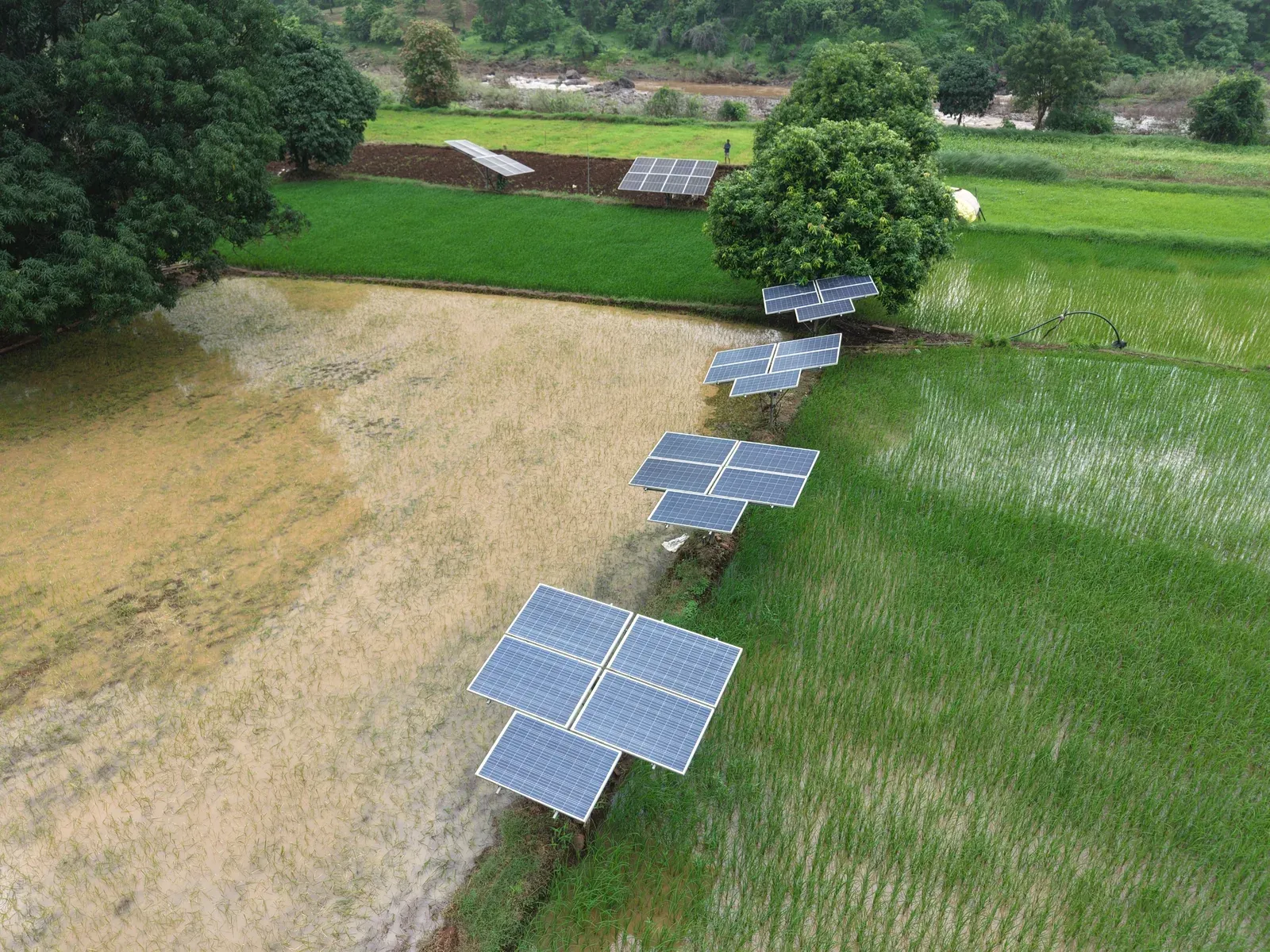 Clean energy transition: Bridging innovation and commercial scale, say industry leaders