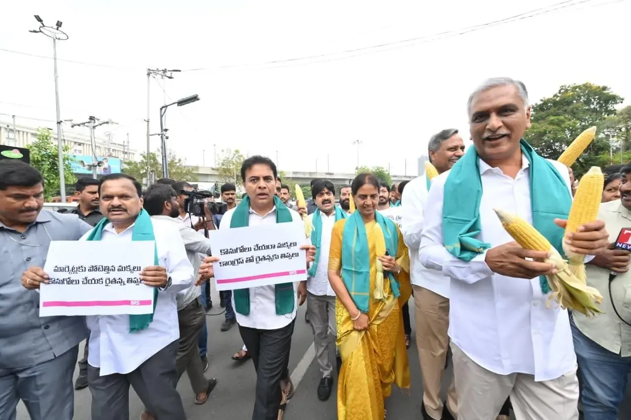 BRS Protest Demands Fair Payment for Maize Farmers Near Assembly