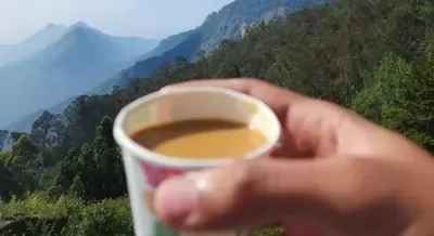 ब्रश के तुरंत बाद चाय क्यों नहीं पीनी चाहिए? जानिए एक आम सी लेकिन जरूरी बात!