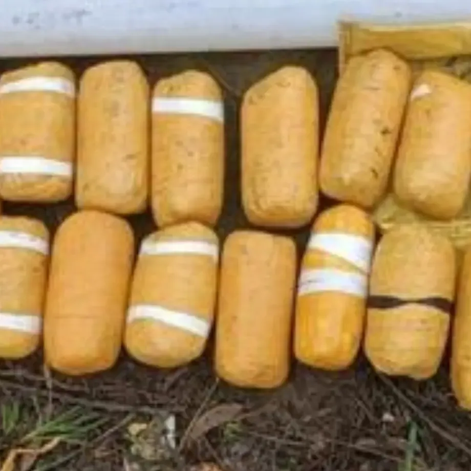 BSF Seizes Heroin Packet Dropped by Pakistani Drone Near Rajasthan Border