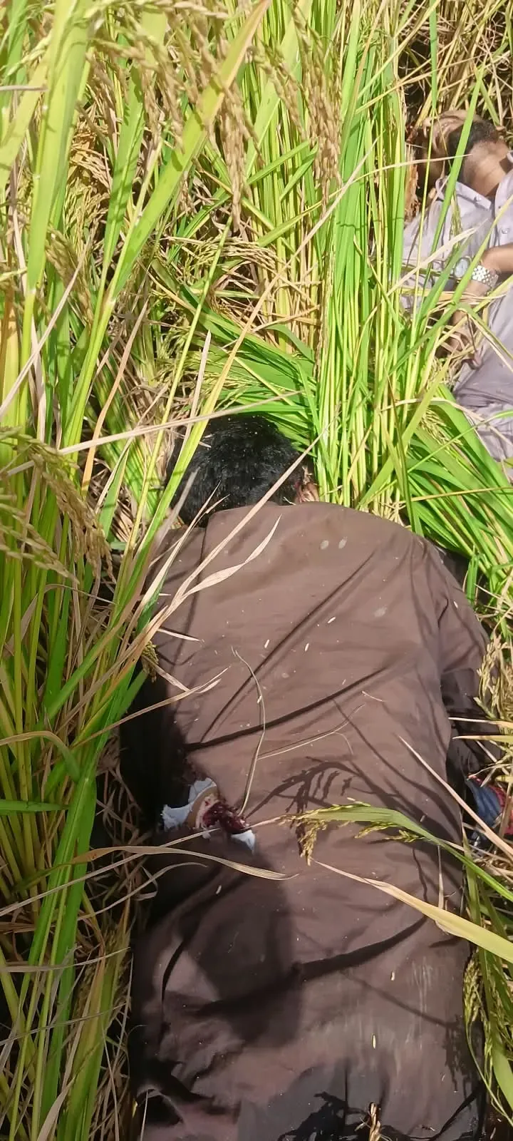BSF shoots two Pakistani intruders dead at Punjab border in Tarn Taran