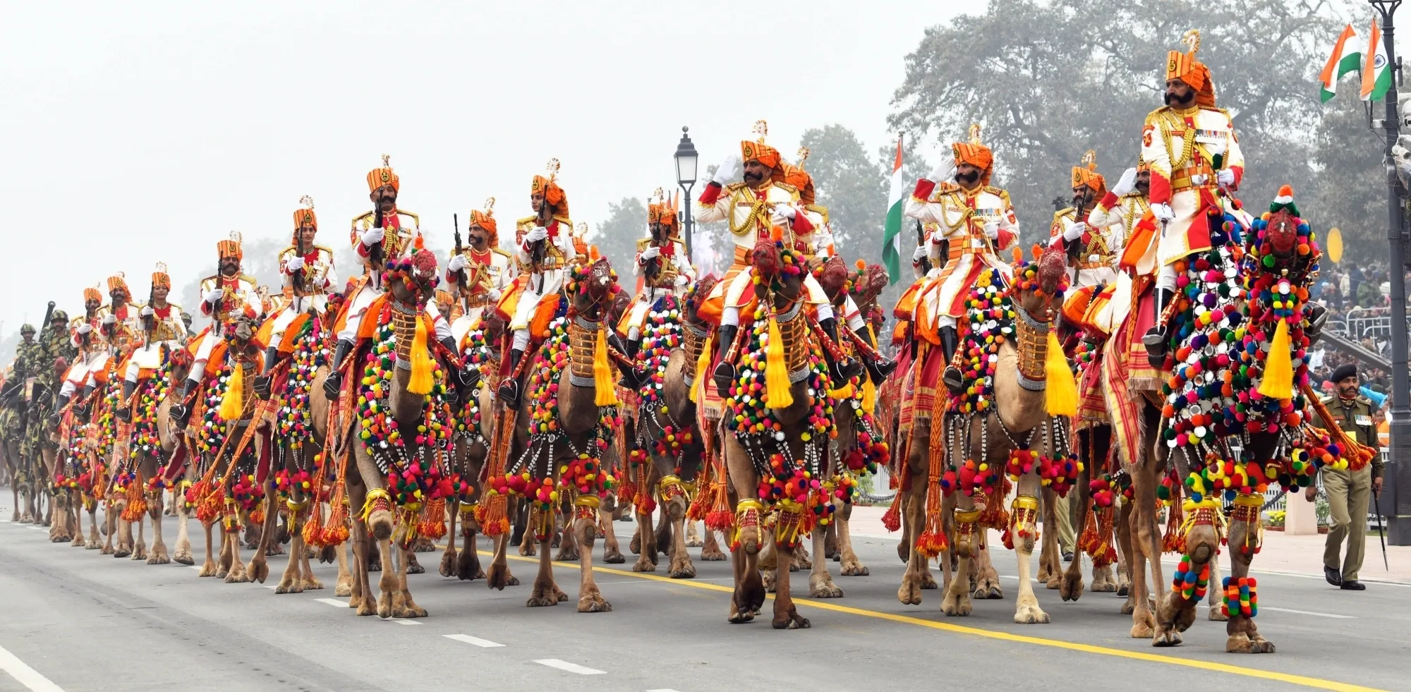 Will BSF’s historic camel contingent make a grand appearance at Ekta Parade?