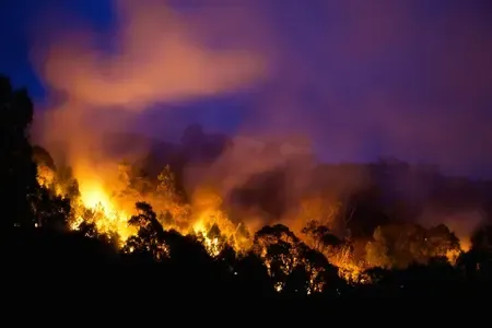 Has a Bushfire Claimed Life in Victoria and Declared a State of Disaster?