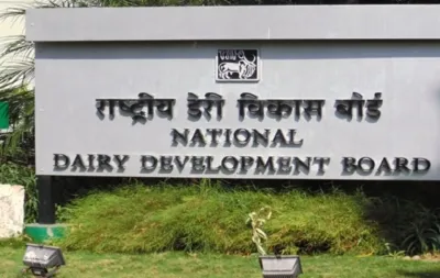 Cabinet Endorses Enhanced Dairy Development Scheme with Boosted Rs 2,790 Crore Budget