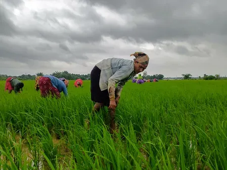 PM-KISAN extended to 2030-31 with ₹3.15 lakh crore outlay by Cabinet