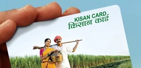 Has the Cabinet approved interest subsidy for farmers' loans in 2025-26?