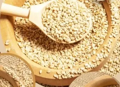 क्या कैल्शियम से भरपूर तिल हड्डियों के लिए वरदान है? सेवन से मिलेंगे अद्भुत लाभ