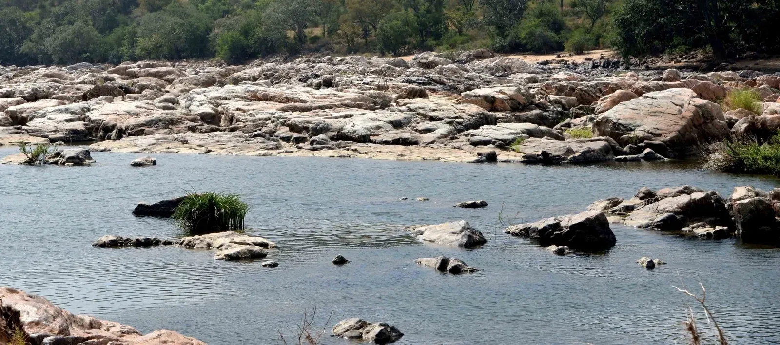 Cauvery water row: SC allows Tamil Nadu to move CWMA, next hearing Aug 31