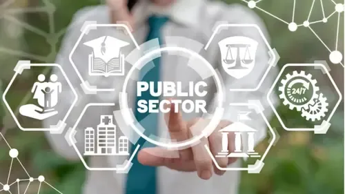 How Did Central PSEs Achieve a 120% Surge in Financial Contributions Over 11 Years?