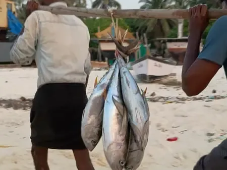 Is the Centre's Approval of Rs 199 Crore for a Smart Fishing Harbour in Andaman a Game-Changer?