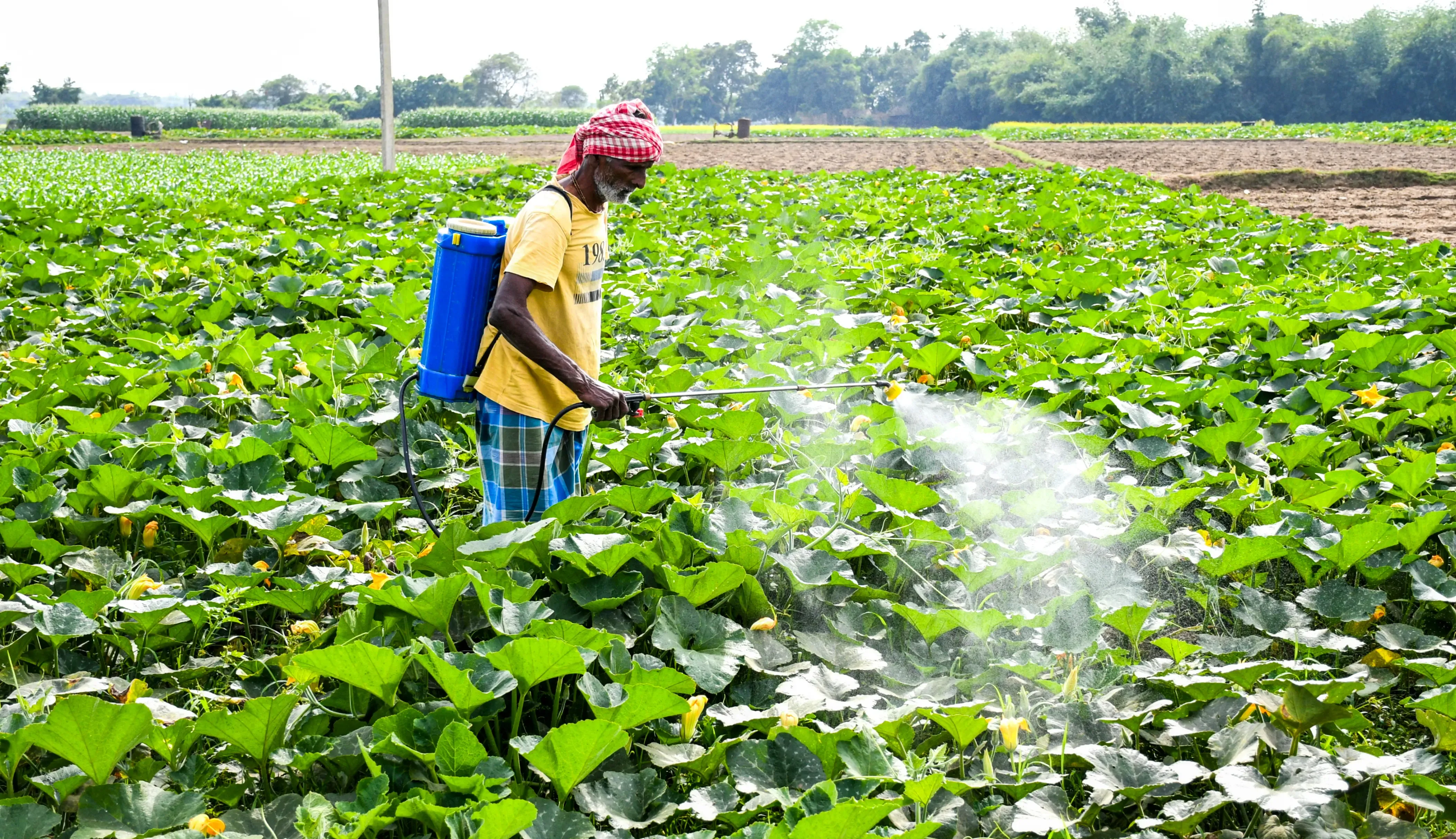 How is the Centre Addressing Fertiliser Misuse and Diversion?