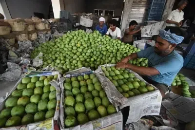 Is the Centre Formulating a New Strategy to Boost Farm Goods and Processed Food Exports?