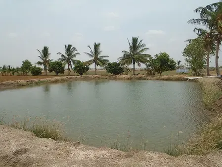 Government Allocates Rs 1.78 Lakh Crore for Water Harvesting Initiatives under MNREGA: Minister