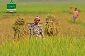 Government Expands e-NAM Trade with 10 New Agri Goods