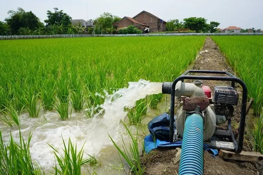 Government Approves Rs 1,600 Cr Modernisation of Irrigation Network for FY26