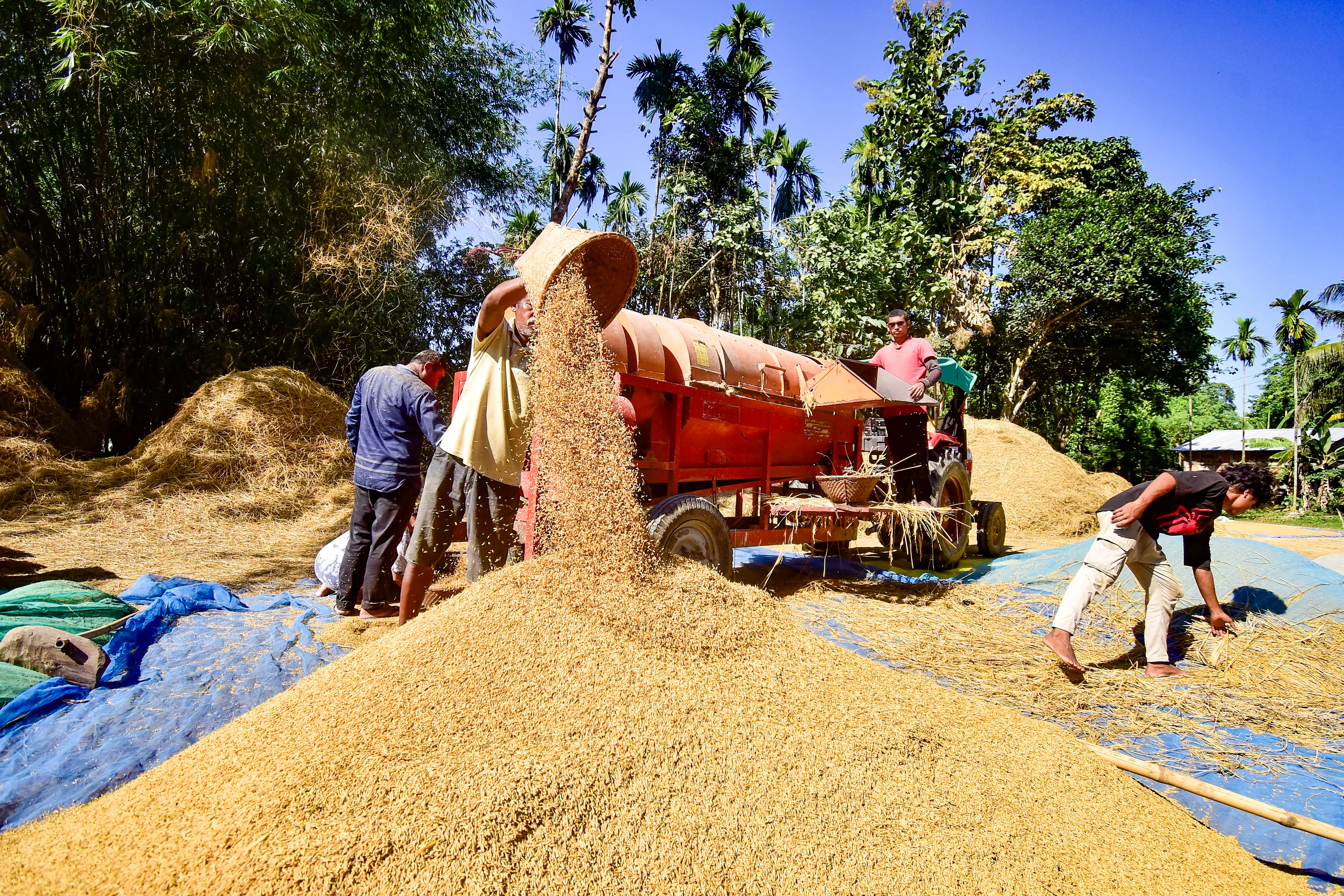 Did the Centre pay farmers Rs 3.47 lakh crore in 2024-25 for crops at MSP?