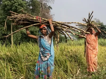 Government Allocates Rs 299 Crore to Enhance Rural Governance in Assam
