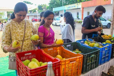 ICAR expert panel set up to fix Totapuri mango price crisis in Andhra Pradesh