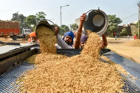 Indian Government Suspends Rice Fortification Under PMGKAY