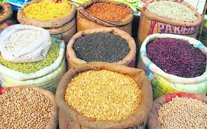 Government to Enhance Pulse Procurement from Farmers in Rabi Season