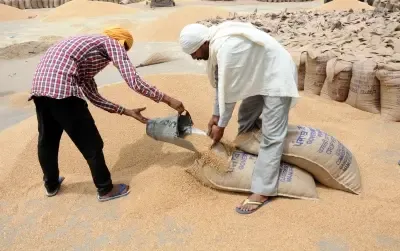 Why Did the Centre Withdraw the Wheat Stock Limit Order?