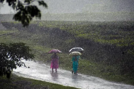 Mahabaleshwar records 513 mm rain in 24 hours, Satara ravaged by century-worst deluge