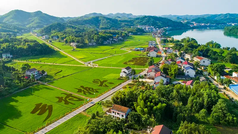 सीजीटीएन सर्वे में 90%25 से अधिक लोगों ने चीन की गरीबी उन्मूलन में भूमिका की सराहना की