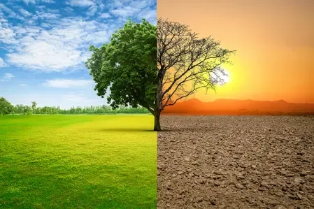 क्या विश्व जनता ने देशों से जलवायु शासन के ठोस कदम उठाने का आग्रह किया?