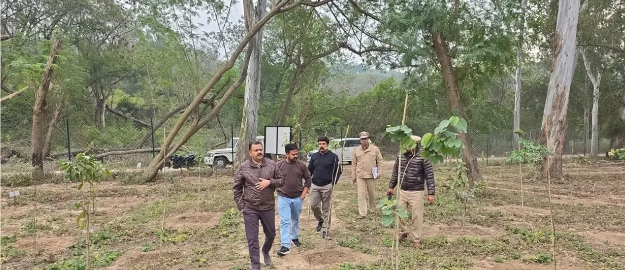 Is Chandigarh's Sukhna Wildlife Sanctuary a Safe Haven for Leopards and Jackals?