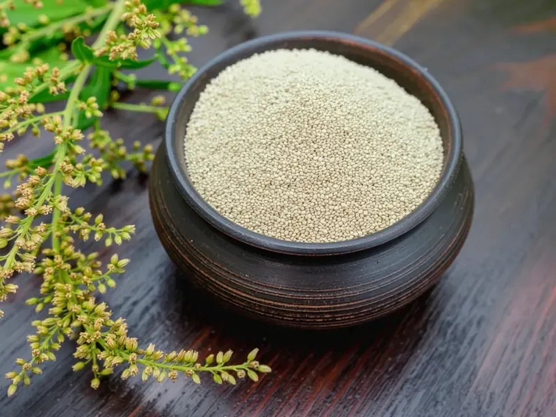 क्या चौलाई के बीज बुजुर्गों और गर्भवती महिलाओं के लिए एक सुपरफूड हैं?