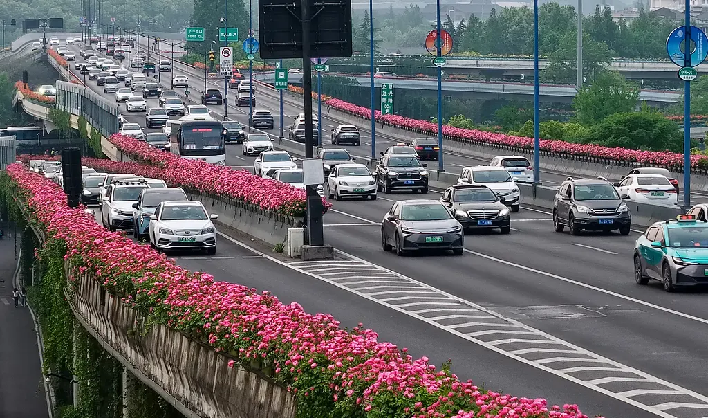 क्या चीन में मोटर वाहनों और नई ऊर्जा वाहनों की संख्या में तेज बढ़ोतरी हो रही है?