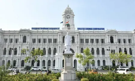 Will Chennai Corporation Offer Free Vaccination Camps for Pet Dogs?