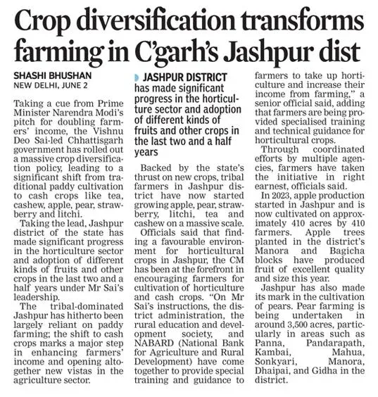 Chhattisgarh CMO: Crop diversification powers Jashpur farm shift