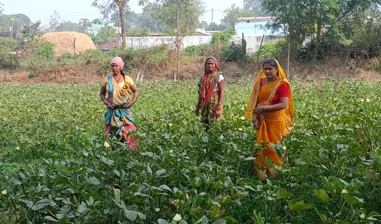 क्या छत्तीसगढ़ के गरियाबंद में लखपति दीदी योजना से ग्रामीण महिलाएं लाखों कमा रही हैं?