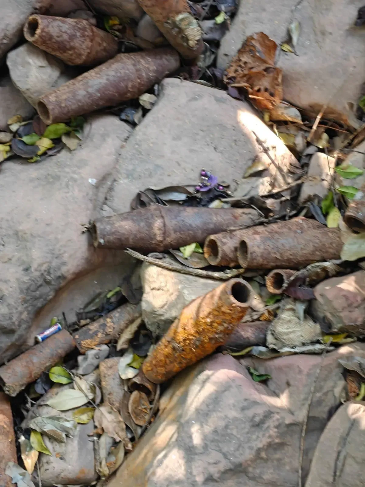 क्या छत्तीसगढ़ के बीजापुर में माओवादियों के खिलाफ सुरक्षा बलों ने बड़ी कार्रवाई की?