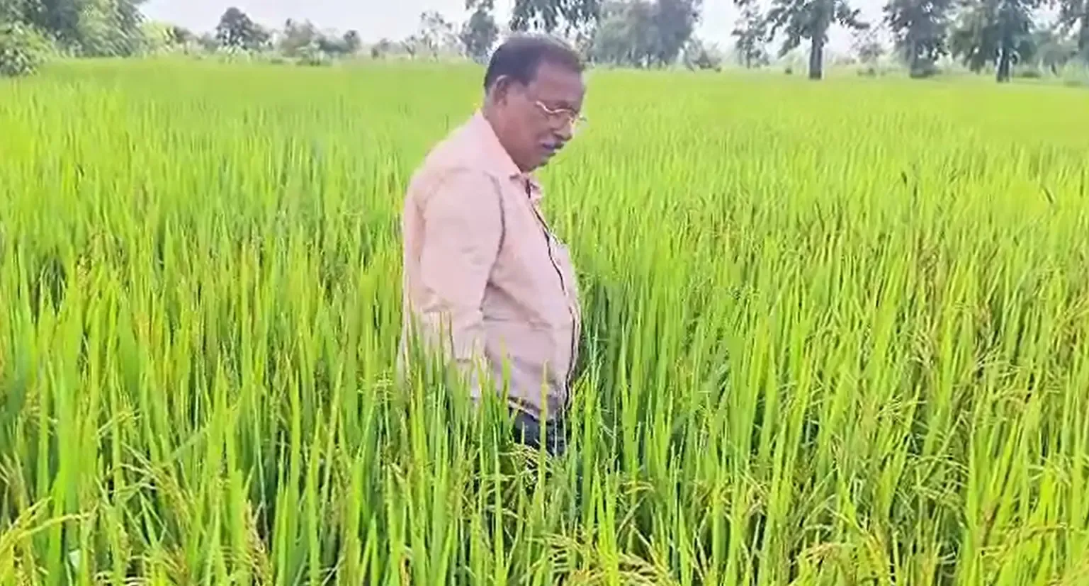 क्या वामन टिकरिहा ने छत्तीसगढ़ की मिट्टी से नया गौरव उभारा है?