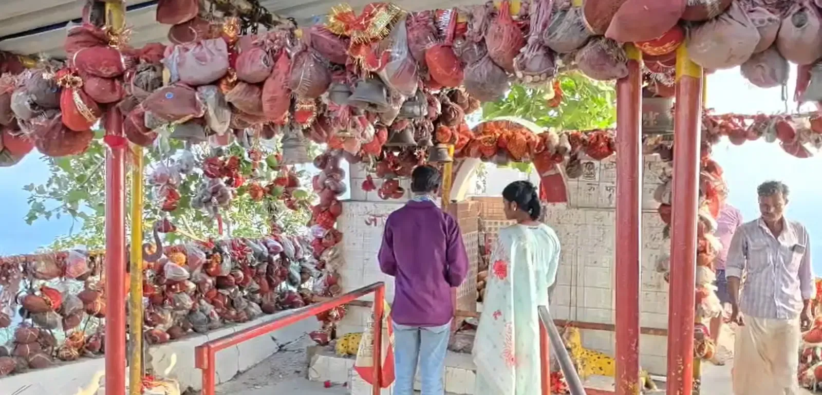 कोरबा के मां कोसगाई दाई मंदिर में सफेद ध्वज की परंपरा: जानिए इतिहास, मान्यता और धार्मिक महत्व