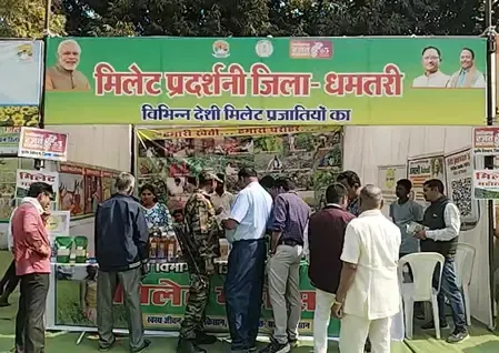 What is the impact of the Millet festival in Dhamtari, Chhattisgarh?