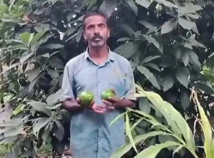 Chikkamagaluru avocado farming booms after PM Modi's Mann Ki Baat mention