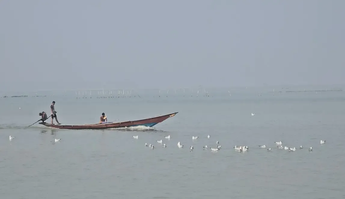 क्या चिल्का झील में डॉल्फिन गणना का सर्वे शुरू हो गया है?