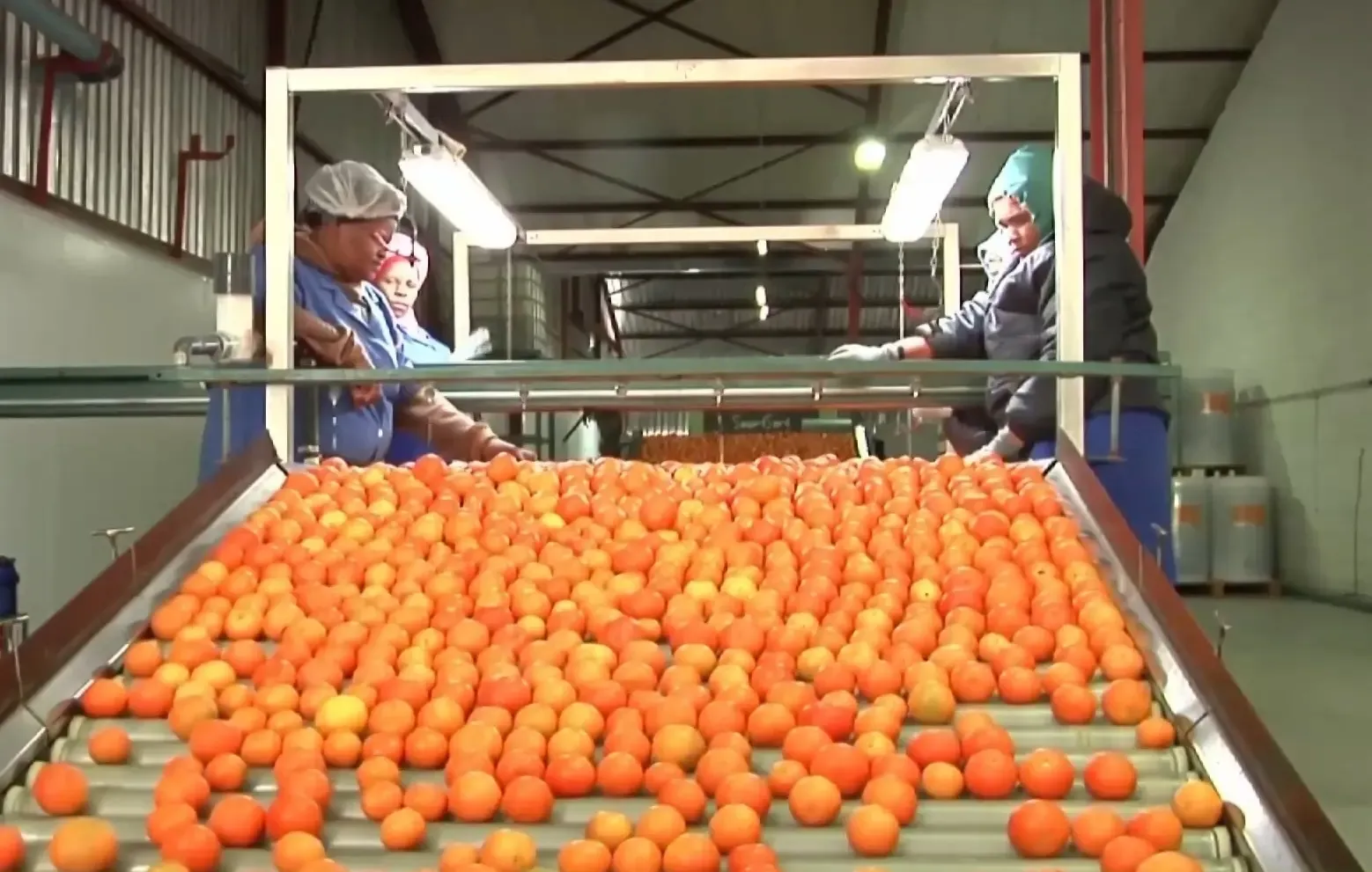 चीन का शून्य-टैरिफ कदम: अफ्रीका के विकास के लिए नए द्वार खोलता है