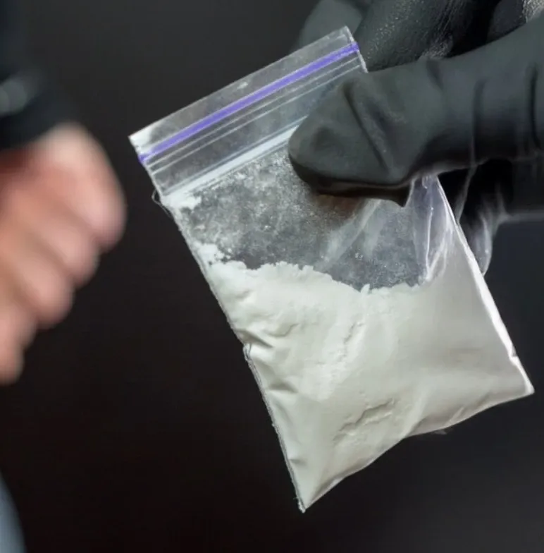 Did Chinese Nationals Smuggle Agroterrorism Pathogen into the US?