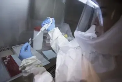 What Key Mutation Did Chinese Scientists Discover in the Ebola Virus?