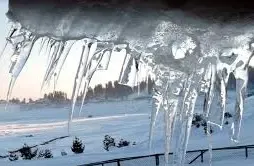 Christmas Celebrations in Kashmir to Lack Snowfall, But Icicles Create a Prism Wonderland