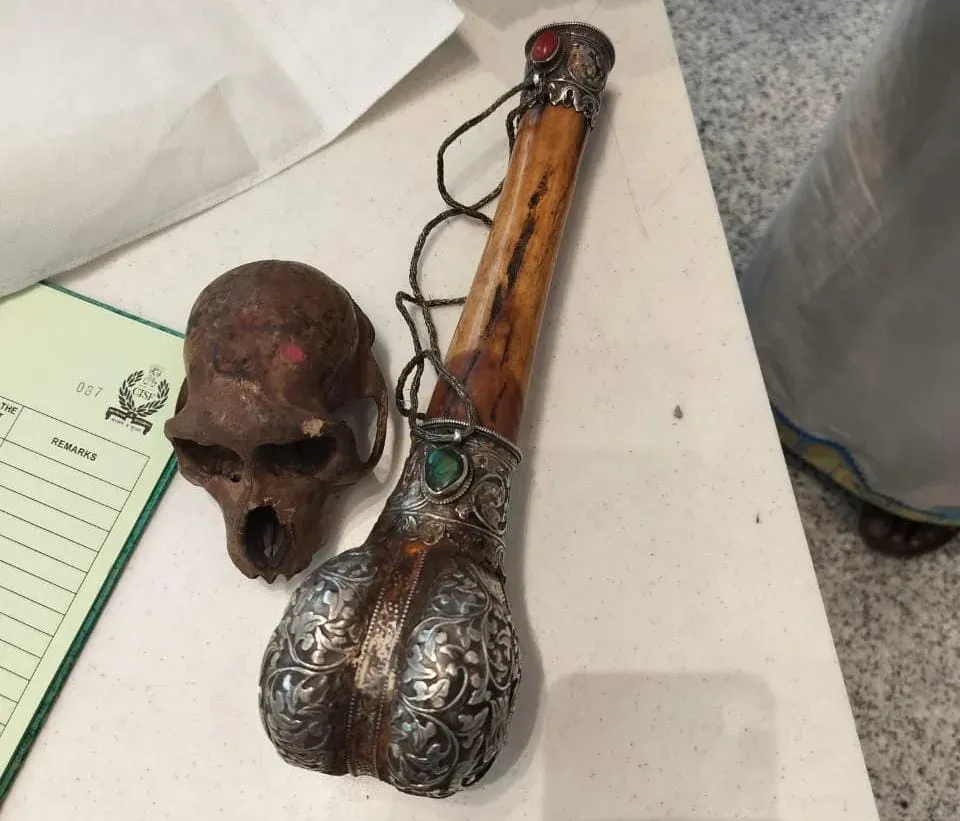 CISF finds monkey skull in passenger's bag at Delhi IGI Airport