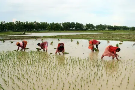 Climate change and crop cultivation in focus at Shimla symposium on Oct 22-23