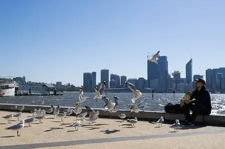 Is Climate Change Responsible for Nearly 100,000 Deaths from 2023 Heatwaves?