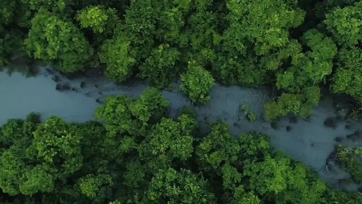 CM Assam's Blue Valley Cluster to Link Forests to Europe